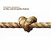 Song My Only Guarantee by Cowboy Junkies on At the End of Paths Taken at Amazon