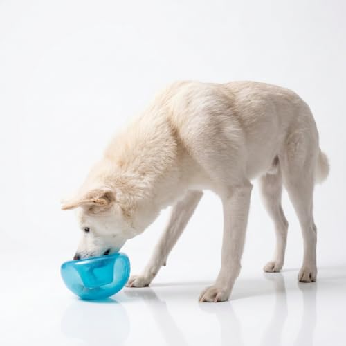 Outward Hound Large Snoop Interactive Treat Dispensing Dog Toy, Puzzle Ball Slow Feeder for Medium to Large Dogs, Mint-Scented for Mental Stimulation & Boredom Relief, BPA-Free, 5-Inch, Blue