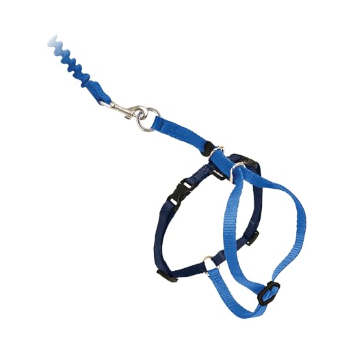 PetSafe Come With Me Kitty Cat Harness & Bungee Leash Figure-8 Design