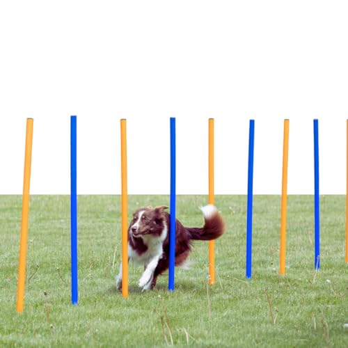Trixie Dog Agility Slalom Training Poles Most Comprehensive High-quality dog agility set of 12