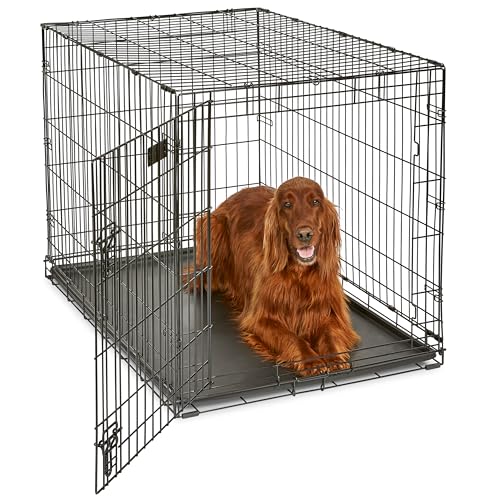 MidWest iCrate 42-Inch for Large Breeds, Single Door Folding