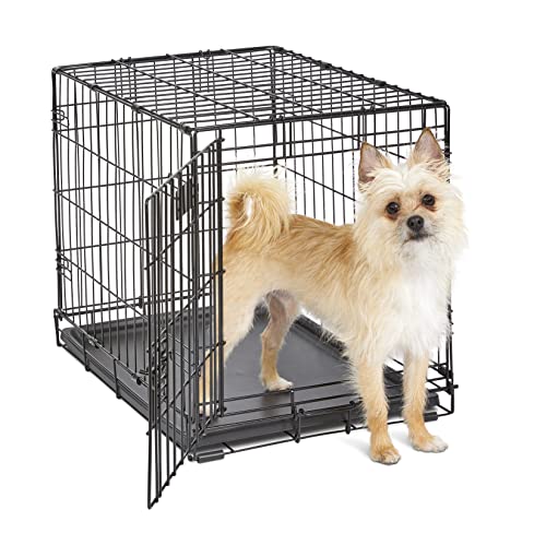 MidWest Homes for Pets 24-Inch iCrate Folding Dog Crate with Divider Panel, Leak-Proof Tray & Secure Latches – Metal Wire Kennel for Small Breeds – Portable, Durable & Easy to Assemble