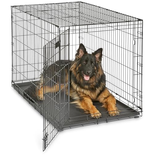 MidWest iCrate 48-Inch for Extra-Large Breeds, Single Door
