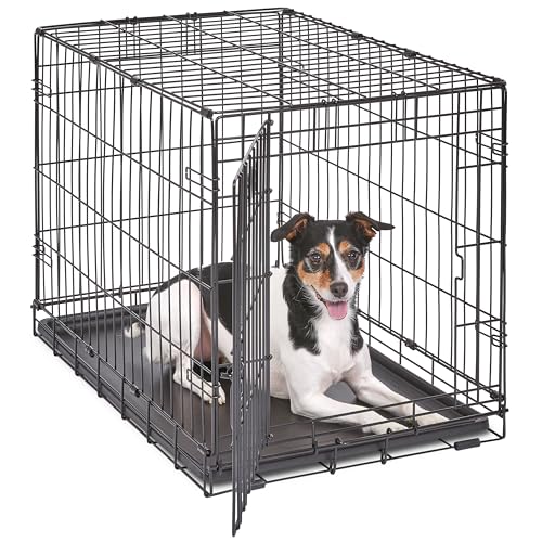 MidWest iCrate 30-Inch for Medium Breeds, Single Door Folding