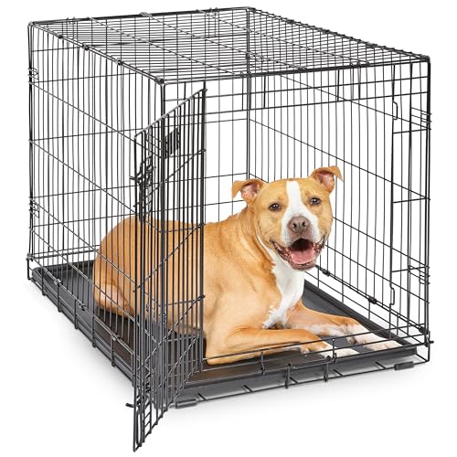 MidWest iCrate 36-Inch for Medium-Large Breeds, Single Door