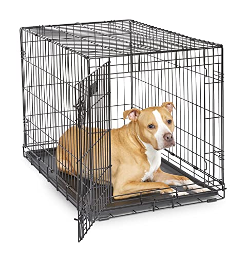 MidWest Homes for Pets 36-Inch iCrate Folding Dog Crate with Divider Panel, Leak-Proof Tray &amp; Secure Latches – Met
