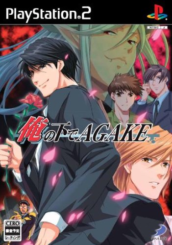 【PS2】プレイステーション2のアドベンチャー・ゲーム人気投票【ADV】　403位　俺の下でAGAKEの画像