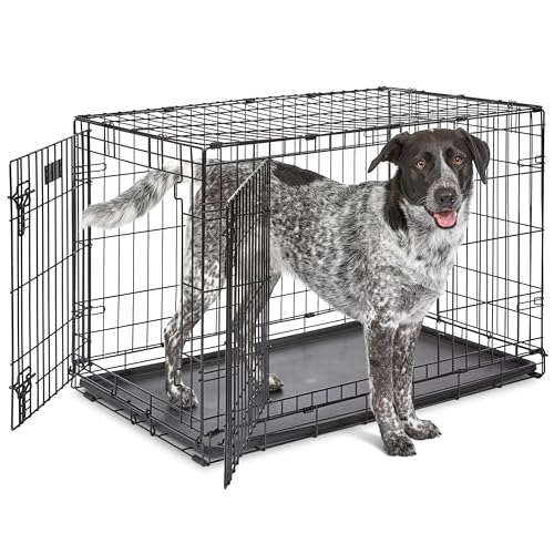 MidWest iCrate Double Door Folding Dog Crate (36in)