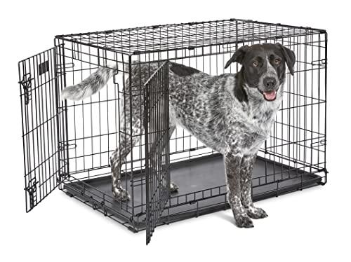 MidWest Homes for Pets 36-Inch Two-Door iCrate Folding Dog Crate with Divider Panel, Leak-Proof Tray &amp; Secure Latche