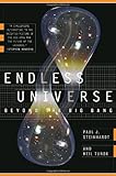 Endless Universe Beyond The Big Bang English Edition
