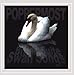 Song Concentrate on Me by Poppermost on Bitter Suite Swan Songs at Amazon