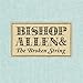 Song Rain by Bishop Allen on The Broken String at Amazon