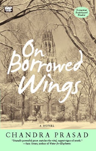 On Borrowed Wings book cover