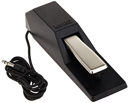 コルグ DS-1H