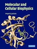 Molecular And Cellular Biophysics English Edition
