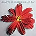 Song Sula by Jeremy Fisher on Goodbye Blue Monday at Amazon