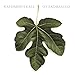 Song There Is a Reason by Caedmon's Call on Overdressed at Amazon