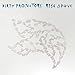 Song Six Pack by The Dirty Projectors on Rise Above at Amazon