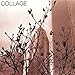 Song November Song by Collage on Collage at Amazon
