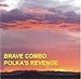 Song Picnic Polka by Brave Combo on Polka's Revenge at Amazon