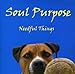 Song I Need Your Love by Soul Purpose on Needful Things at Amazon