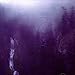 Song Face in a Night Time Mirror Pt. 1 by Wolves In The Throne Room on Diadem of 12 Stars at Amazon