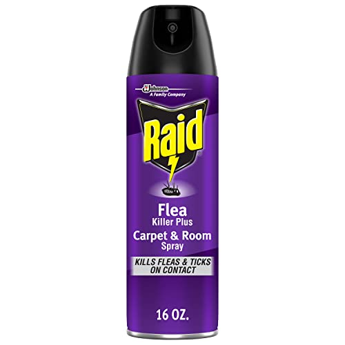 Raid Flea Killer Carpet & Room Spray, Kills hatching eggs for up to 4 months, 16 Oz