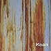 Song Oda by Koan on Koan at Amazon