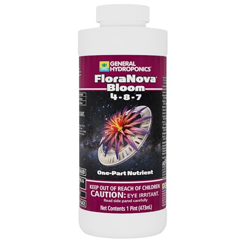 Gh1632 Flora Nova Bloom Quart 1