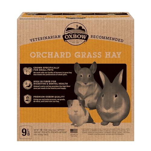 Oxbow Animal Health Orchard Grass, Guinea Pig Hay, Rabbit Hay, Small Pet Bunny Supplies, All Natural Grass for Guinea Pig, Bunny, Chinchilla & Hamster, Oxbow Rabbit Supplies for Bunnies, 9 lb. box