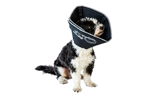 All Four Paws Comfy Cone Pet Cone for Dogs, Cats, Large, Black - Comfortable Soft Dog Cone Collar Alternative for After Surgery, Wound Care, Spay, Neuter - Dog and Cat Recovery Collar