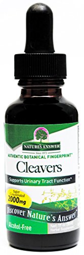 Nature's Answer Alcohol-Free Cleavers Herb, 1-Fluid Ounce | Supports Overall Wellbeing | Dietary Supplement