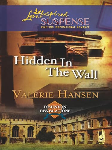 Hidden in the Wall book cover