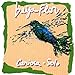 Song CafunÃ© by Carioca on Beija Flor at Amazon