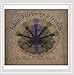 Song Friend by Austin Atteberry on Clothes Minded Folk at Amazon