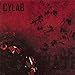 Song Parting Fields by Cylab on Disseminate at Amazon