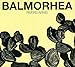 Song The Summer by Balmorhea on Rivers Arms at Amazon