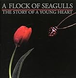 The Story Of A Young Heart (1984)