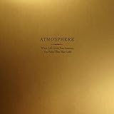 When Life Gives You Lemons, You Paint That Shit Gold (2008)