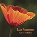 Song Single Drop of Rain by Mae Robertson on Meet the Sun Halfway at Amazon