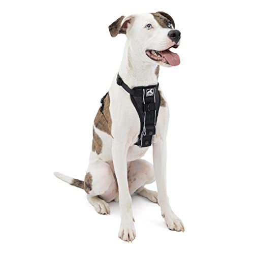 Kurgo Tru-Fit Smart Harness with Seatbelt Tether