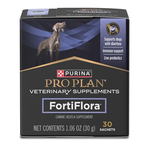 Best Dog Probiotic Supplements for Gut Health and Digestion