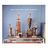Bleed American [2 CD Deluxe Edition]