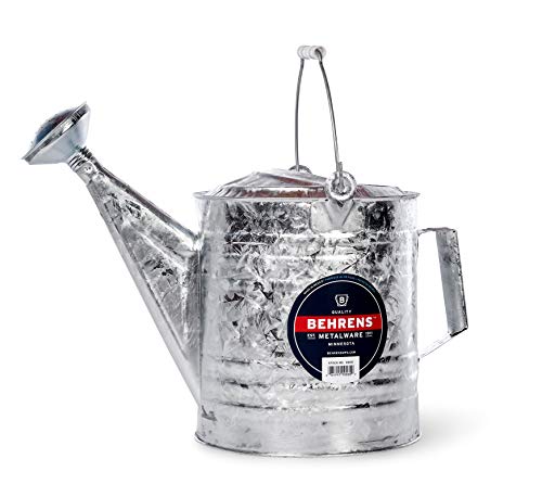 Hot-Dipped Galvanized Steel Watering Can with Wood Handle - Image 1