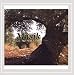 Song In Love by Uri Shefi on Masik at Amazon