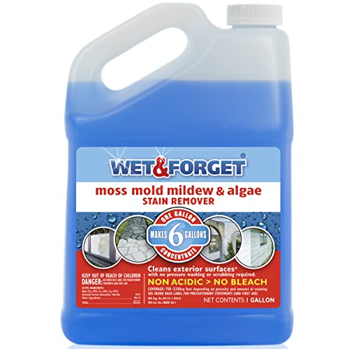 Wet and Forget Outdoor Concentrate, 1 Gallon