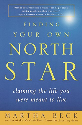 Finding Your Own North Star book cover
