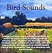 Song Early Spring Birds by Perry Rotwein on Bird Sounds at Amazon