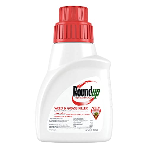 Roundup Weed and Grass Killer Concentrate Plus Trusted Brand