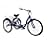 Schwinn Meridian Adult 26-Inch 3-Wheel Bike
